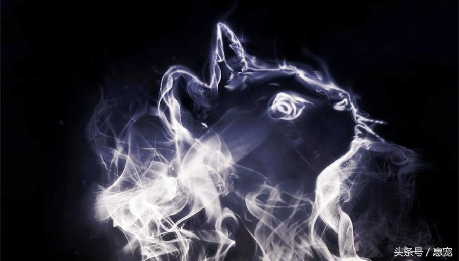 养着宠物还抽烟,你是拿它们的小命儿来燃烧!