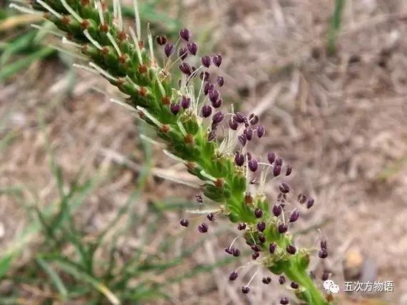 车到山前必有草,车到山前必有路山前山后都有