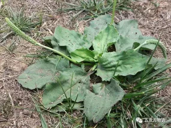 车到山前必有草,车到山前必有路山前山后都有