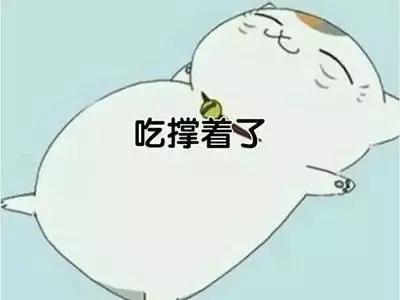 我要上月球视频,我要上月球粤语