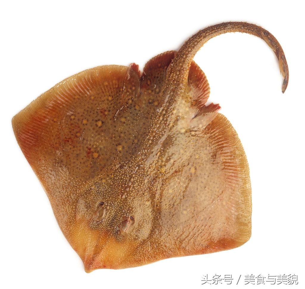 鱼翅解密丨你还以为酒店的鱼翅都是鲨鱼翅，tooyoung