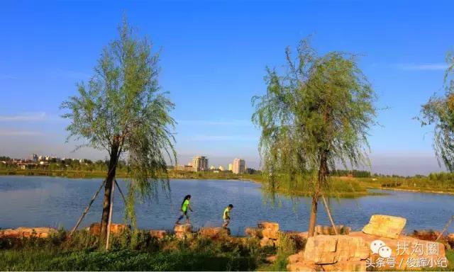 什么叫太康,什么叫扶沟