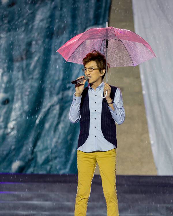 每日花语陈春花,每日花语全集