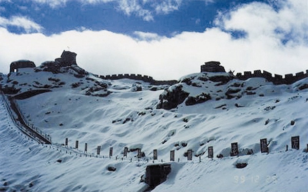 每日花语陈春花,每日花语全集