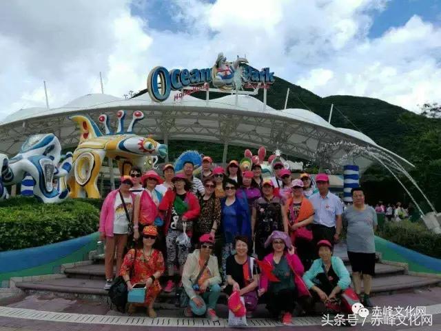 人老心不老的旗袍阿姨走秀,辣妈人老心不老原版