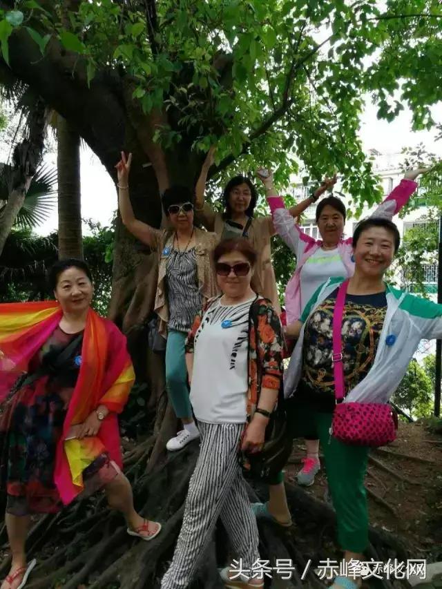 人老心不老的旗袍阿姨走秀,辣妈人老心不老原版