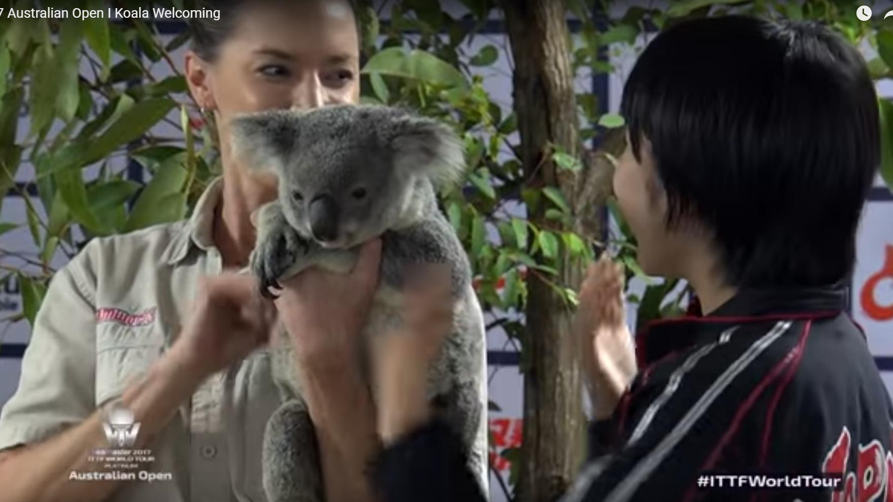 澳洲公开赛乒乓球丁宁与孙颖莎,澳洲公开赛陈梦与王曼昱比赛