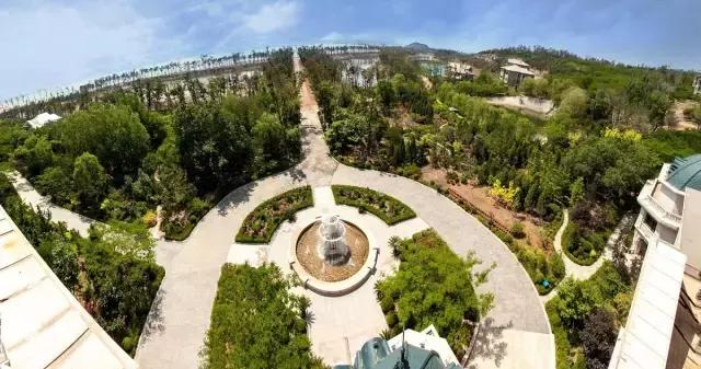 我要上月球视频,我要上月球粤语