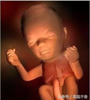 超萌龙凤胎宝宝图片,孕1到9周胎儿发育全过程