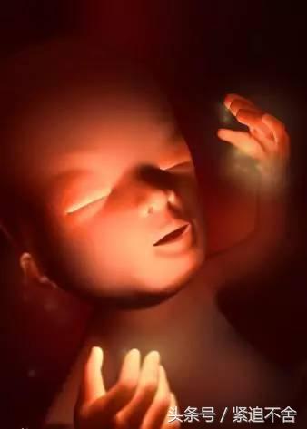 超萌龙凤胎宝宝图片,孕1到9周胎儿发育全过程