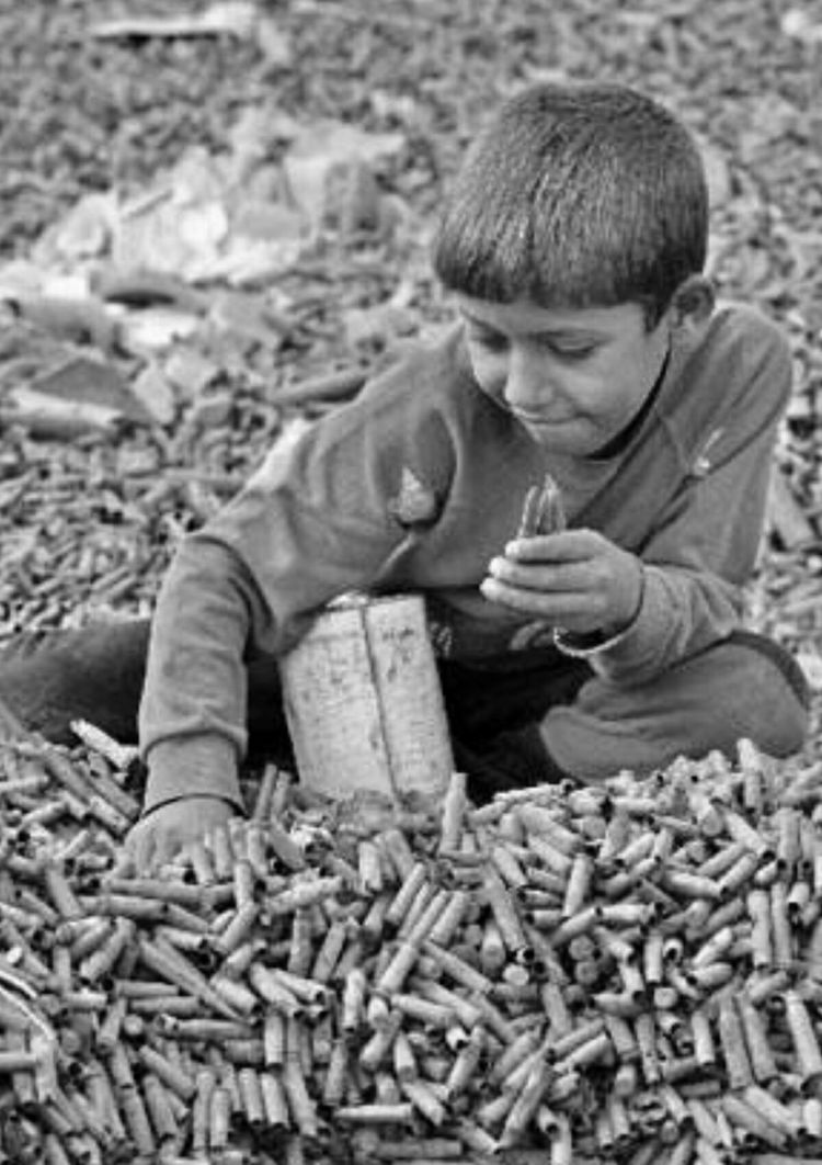 洛阳寿春小学,洛阳市寿春小学