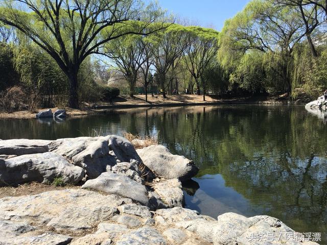 麻醉专业就业前景及出路,麻醉学专业的利与弊