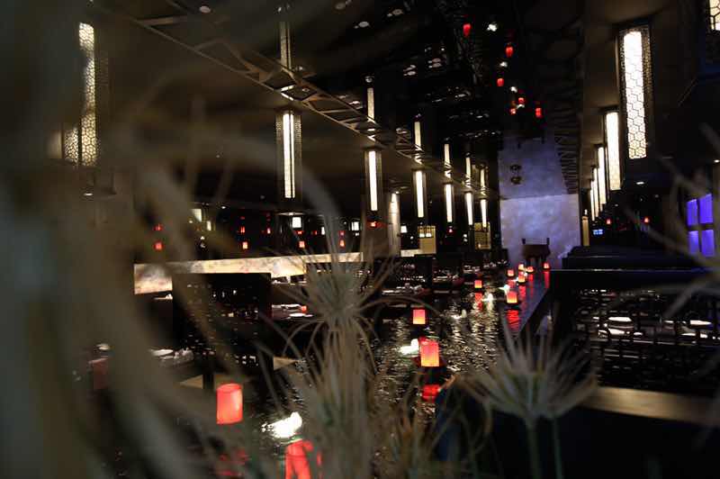 上品之萃井然有序,上井精致料理之行