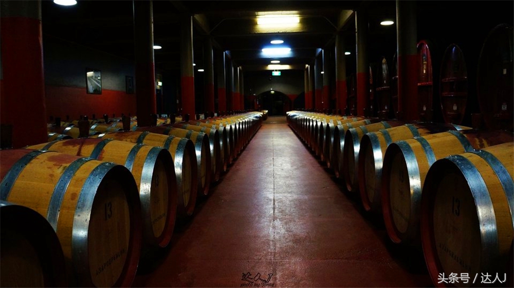 澳洲阿德莱德vs悉尼fc,阿德莱德对澳洲悉尼