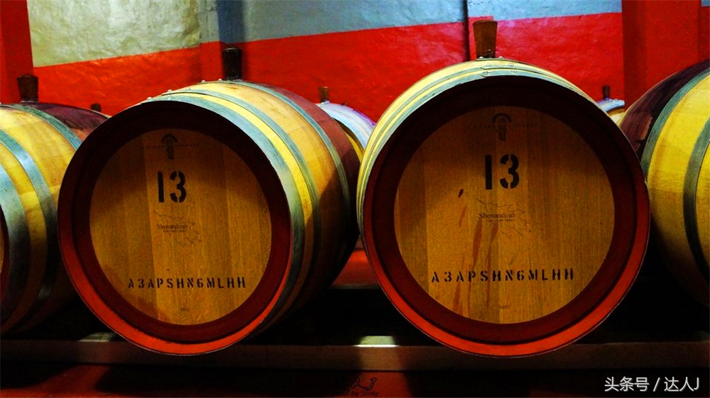 澳洲阿德莱德vs悉尼fc,阿德莱德对澳洲悉尼