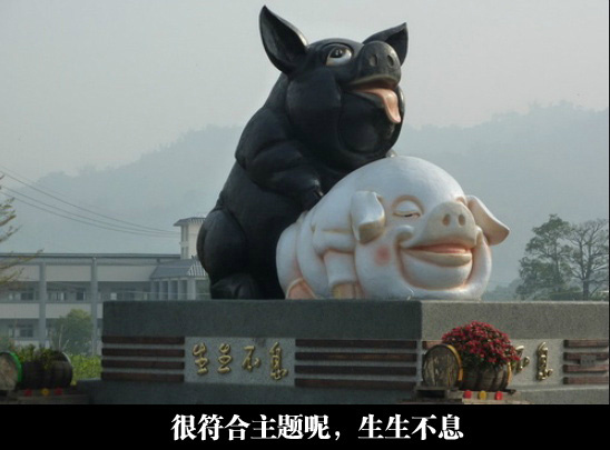 养生笑话荟萃,笑话荟萃