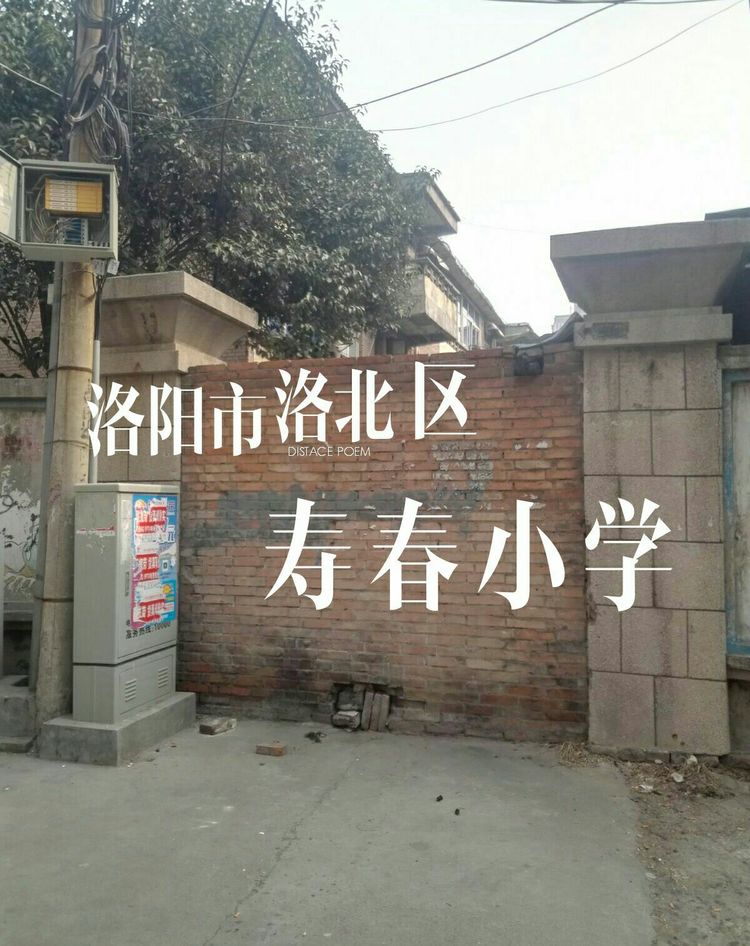 洛阳寿春小学,洛阳市寿春小学