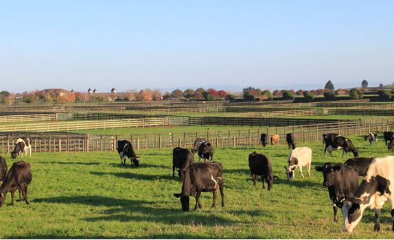 持143签证第一次入境澳洲注意事项,澳洲132A签证介绍