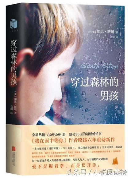 九本现代言情小说,九本甜文小说