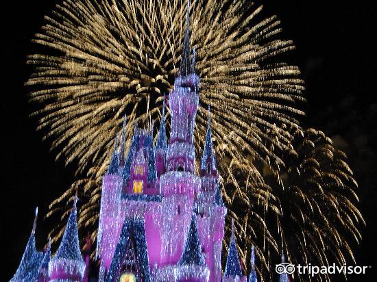 吃热狗挑战赛,吃热狗大赛热狗多重