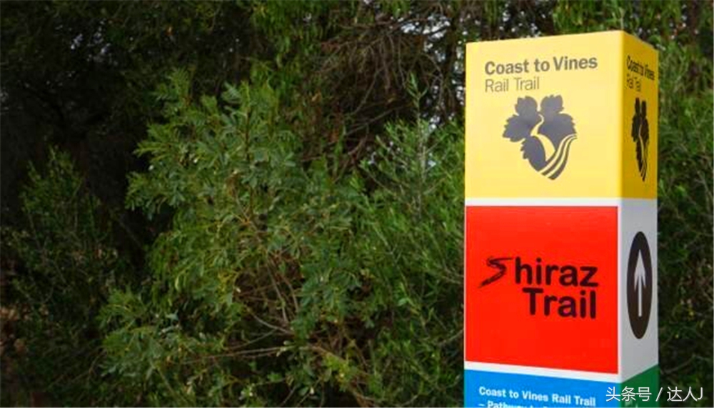 澳洲阿德莱德vs悉尼fc,阿德莱德对澳洲悉尼