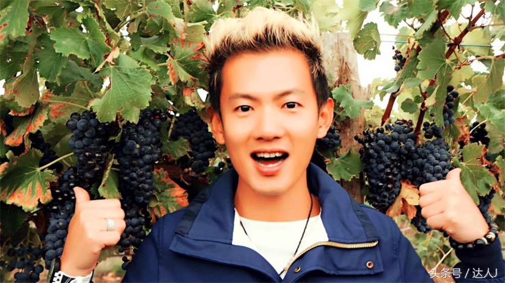 澳洲阿德莱德vs悉尼fc,阿德莱德对澳洲悉尼