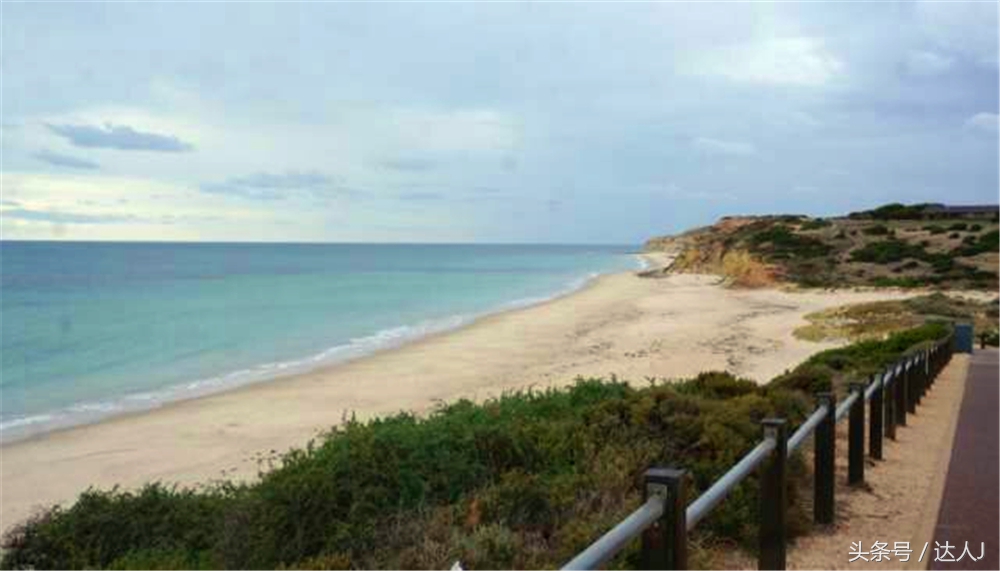 澳洲阿德莱德vs悉尼fc,阿德莱德对澳洲悉尼