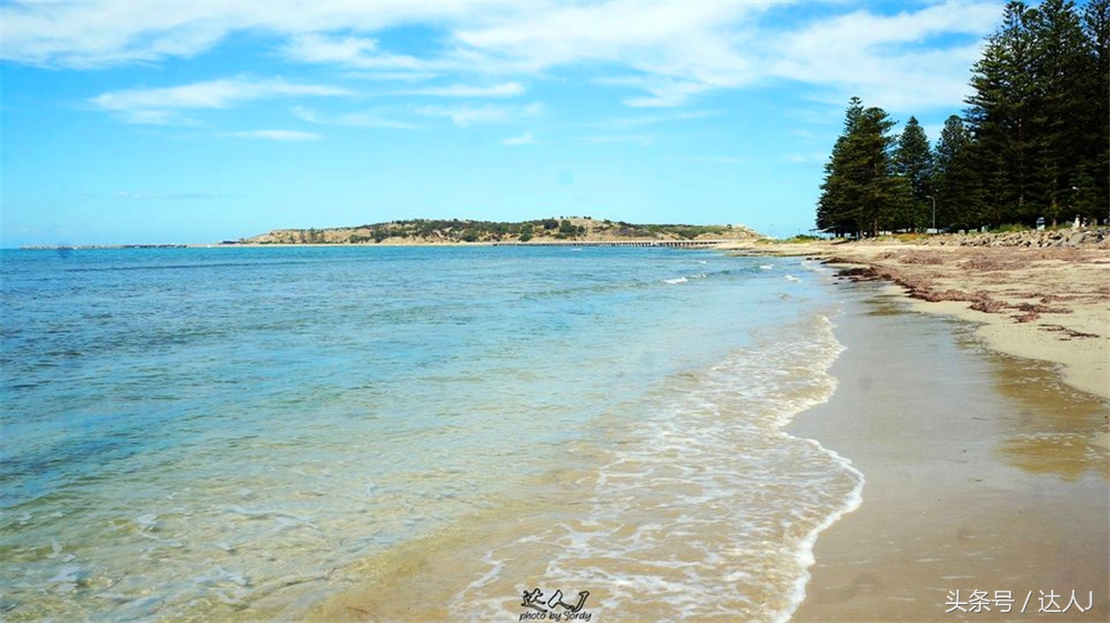 澳洲阿德莱德vs悉尼fc,阿德莱德对澳洲悉尼