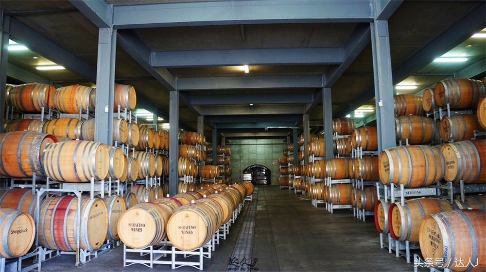 澳洲阿德莱德vs悉尼fc,阿德莱德对澳洲悉尼