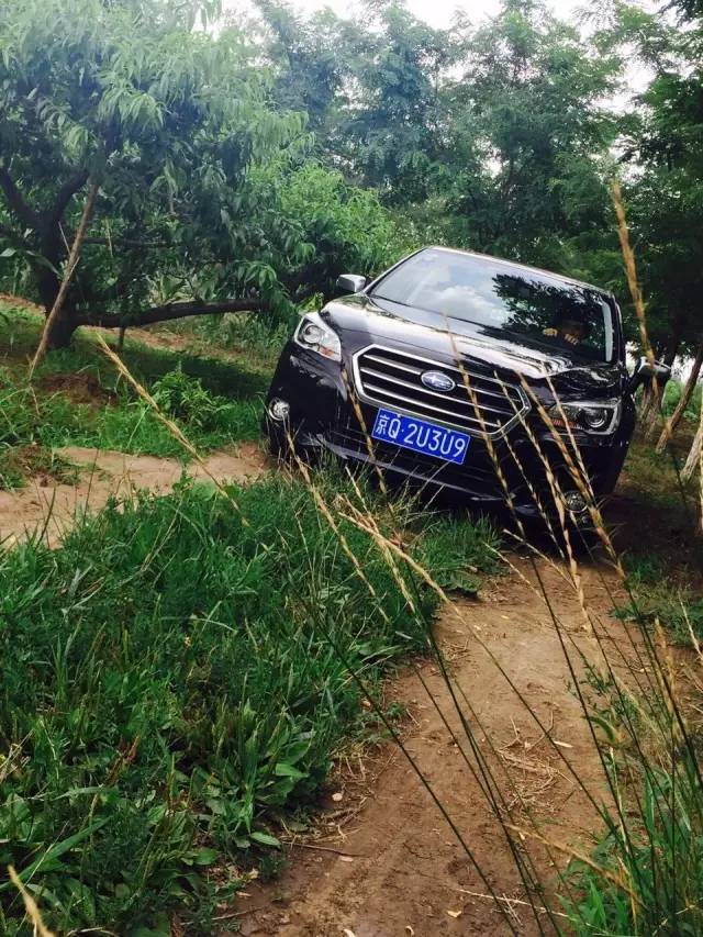 斯巴鲁力狮视频评测懂车帝,斯巴鲁力狮第一人称试驾