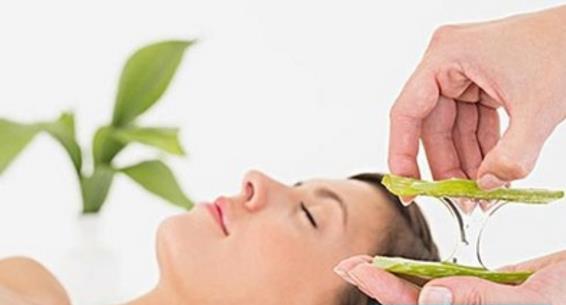 家里种植的芦荟真的可以祛疤吗,家里种的芦荟可以消炎吗