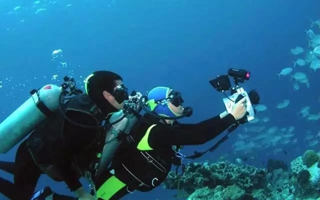 三亚潜水基地,三亚有哪些不容错过的潜水基地