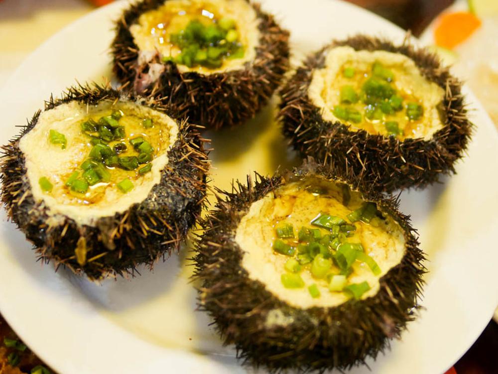 三亚潜水基地,三亚有哪些不容错过的潜水基地