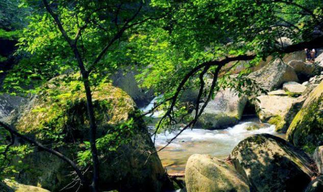 沈阳附近旅游攻略必玩的景点最新,沈阳旅游景点免门票的有哪些地方