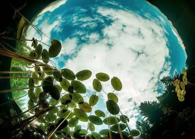 腾讯为了妥协,竟然不要日活上线防沉迷机制