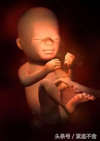 超萌龙凤胎宝宝图片,孕1到9周胎儿发育全过程