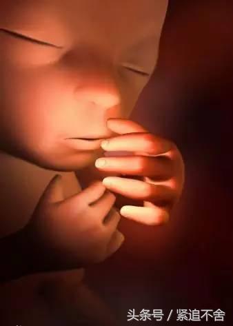 超萌龙凤胎宝宝图片,孕1到9周胎儿发育全过程