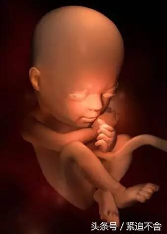 超萌龙凤胎宝宝图片,孕1到9周胎儿发育全过程
