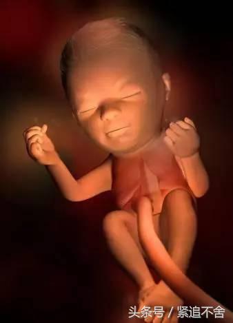 超萌龙凤胎宝宝图片,孕1到9周胎儿发育全过程