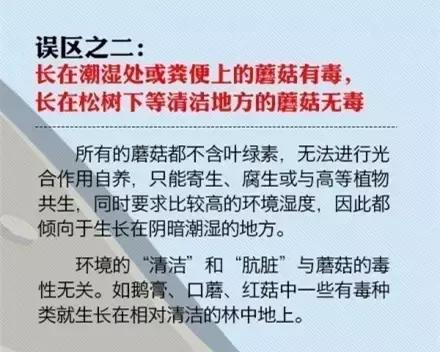 文山有多少人野生菌中毒,文山一家人吃野生菌中毒事件