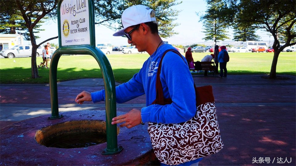 澳洲阿德莱德vs悉尼fc,阿德莱德对澳洲悉尼