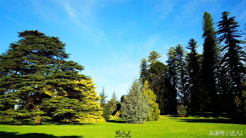 澳洲阿德莱德vs悉尼fc,阿德莱德对澳洲悉尼