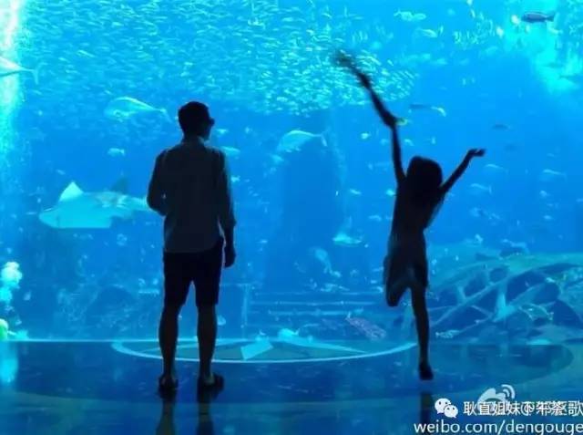 李嫣Style!王菲李亚鹏女儿变身超模05后都出来闯天涯了