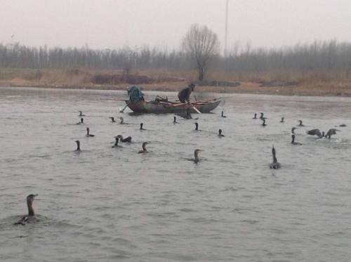 小本投资在家创业,小本自己创业项目