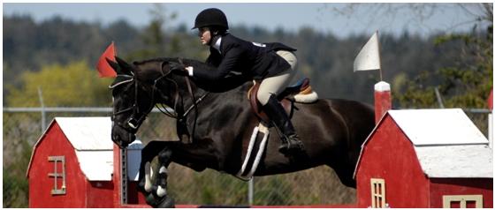 加拿大高中留学的优势与劣势,加拿大高中寄宿制高中推荐