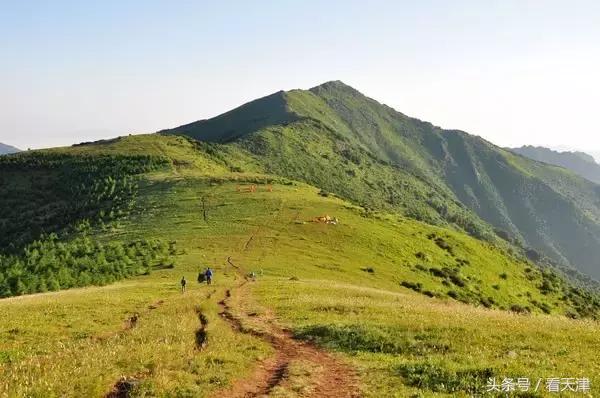 天津避暑胜地推荐,天津避暑胜地