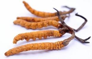 增强机体免疫力的药物有哪些,增强机体免疫力的草有什么