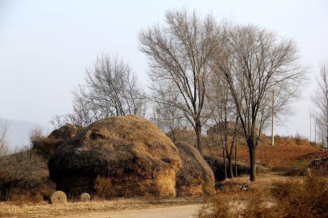 躲得过对酒当歌躲不过夜深人静,躲得过对酒当歌的夜却躲不过