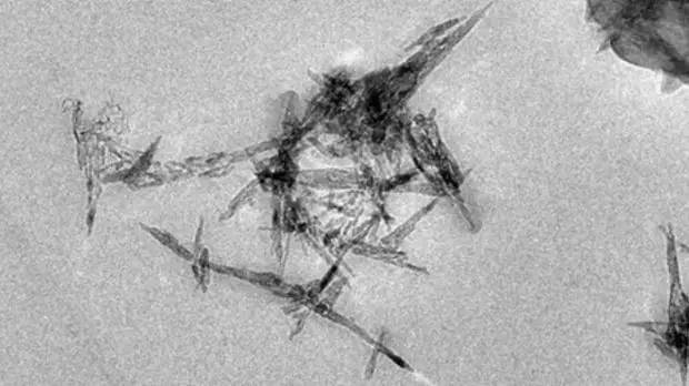 境外NGO称澳洲市场多款奶粉检出“可能有毒”纳米粒子，监管当局说“不用担心”