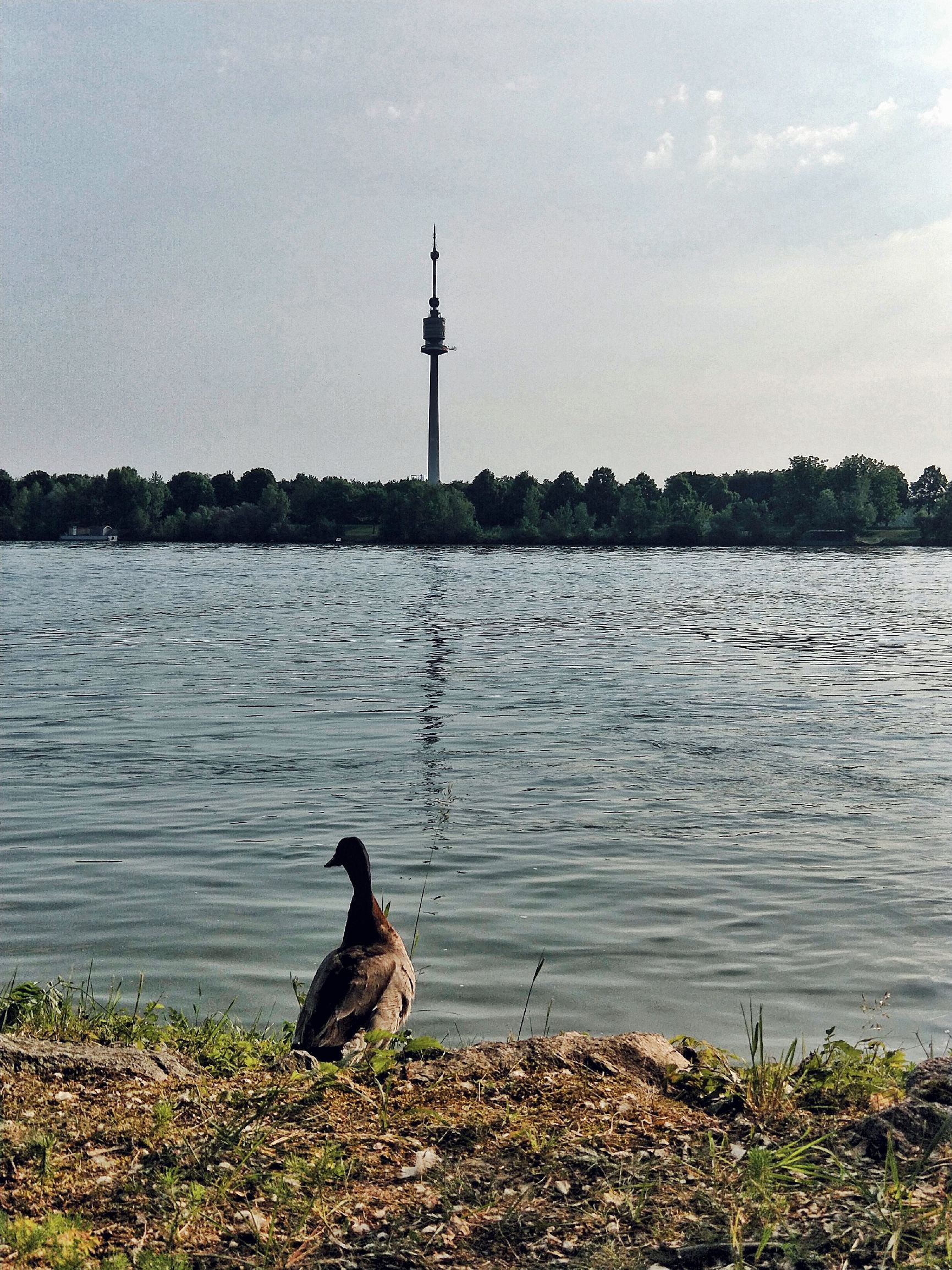 旅游风景手机怎么拍出高级感,旅游产品如何打造爆品